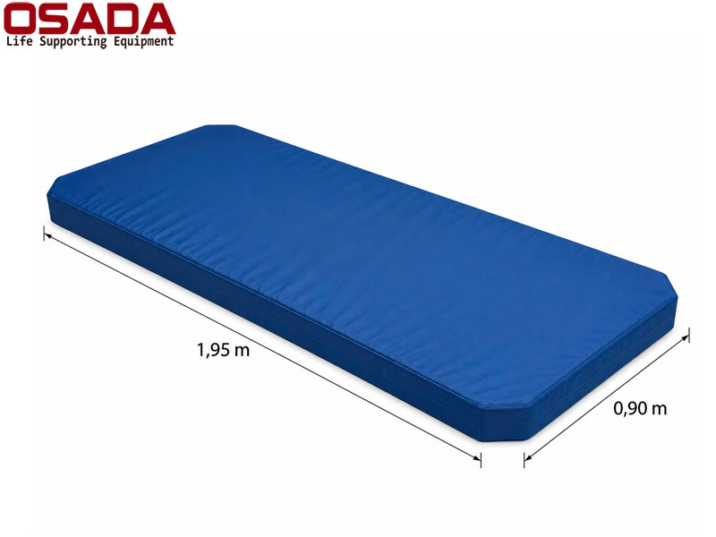 Giường Bệnh Nhân Điều Khiển Điện 3 Chức Năng OSD-E3 Pro